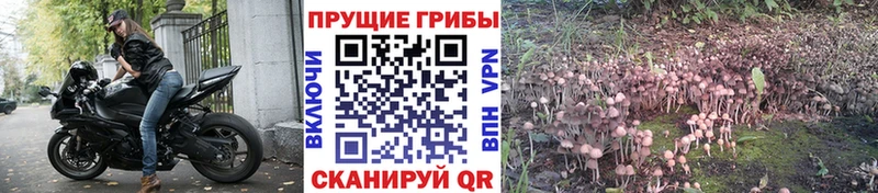 купить наркотик  Тюкалинск  Псилоцибиновые грибы ЛСД 